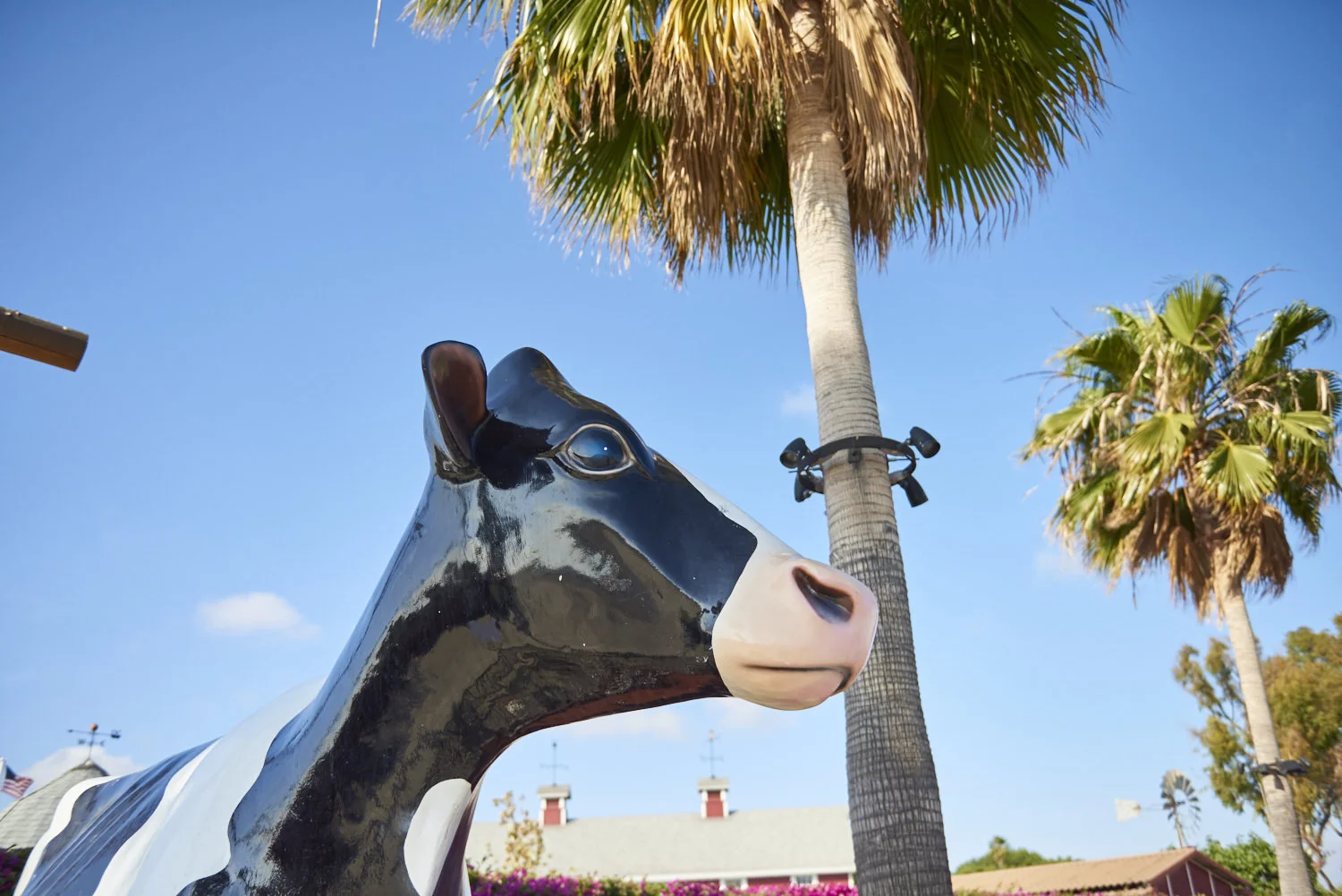 160514_Farm_To_Table_TPA5314.jpg