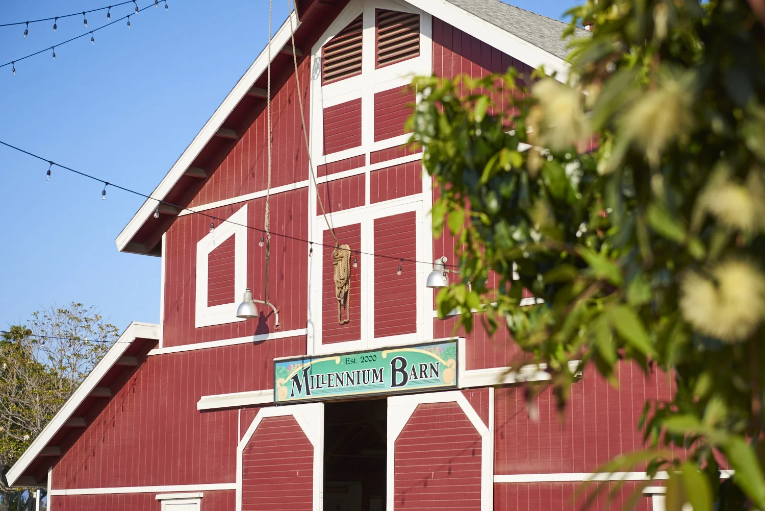 160514_Farm_To_Table_TPA5408.jpg