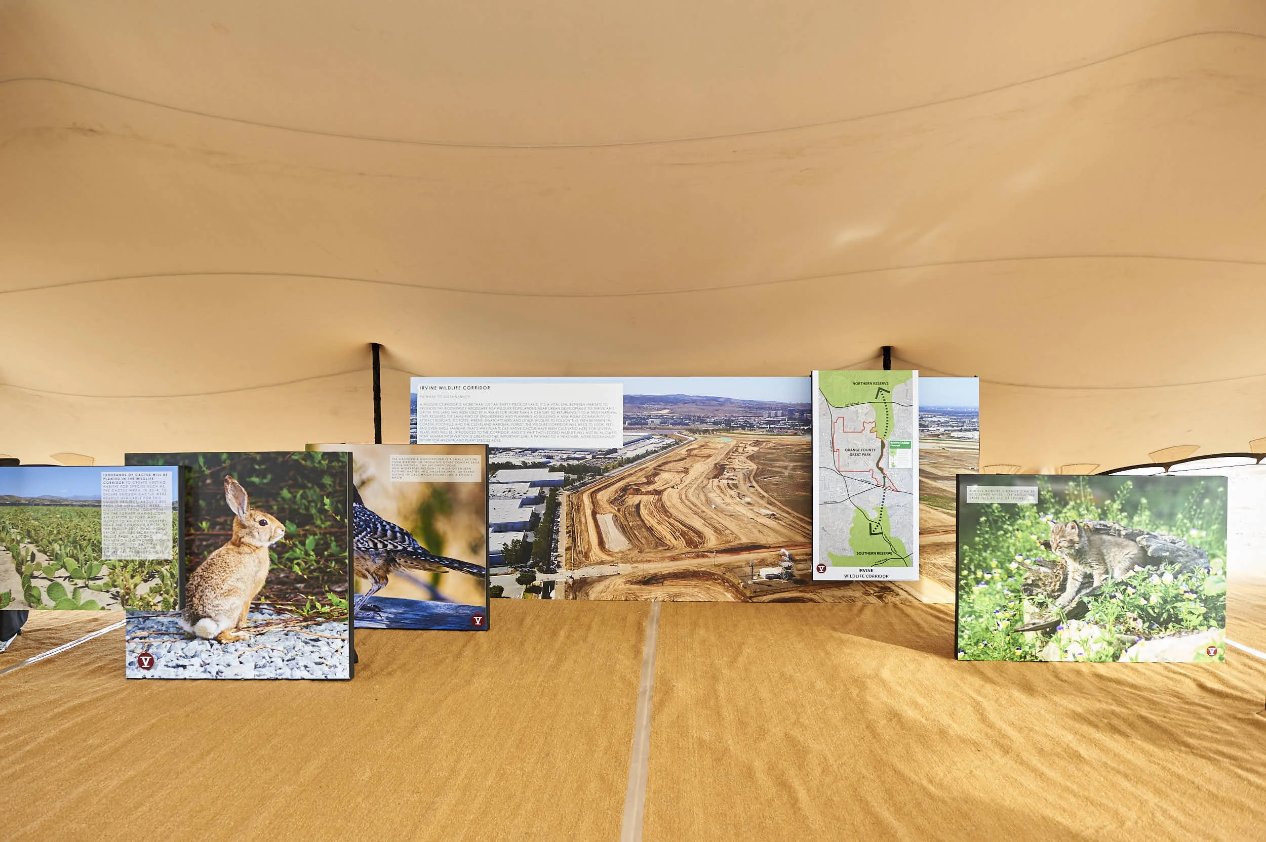 180313_WildlifeCorridorEvent_B_009.jpg