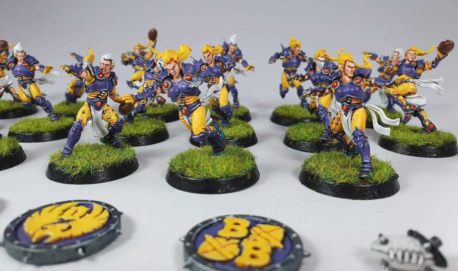 Blood Bowl Miniature Painting Service Paintedfigs (44).jpg