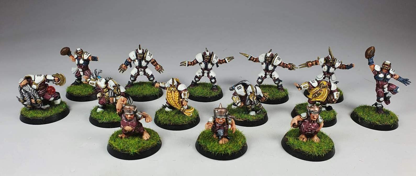 Blood Bowl Miniature Painting Service Paintedfigs (120).jpg