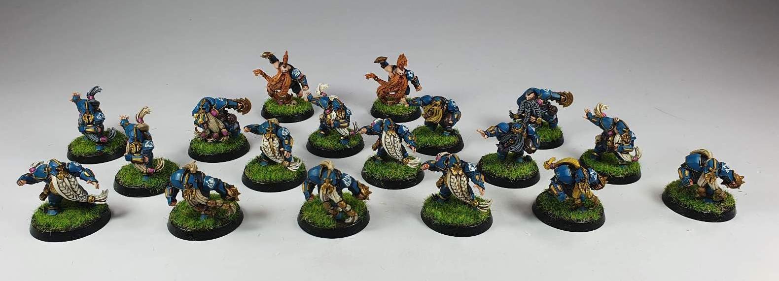 Blood Bowl Miniature Painting Service Paintedfigs (124).jpg