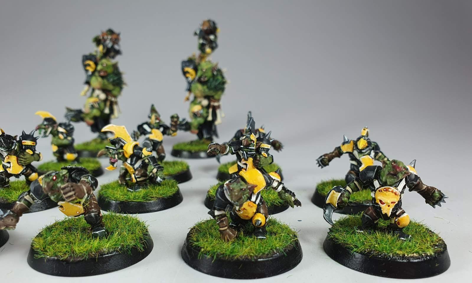 Blood Bowl Miniature Painting Service Paintedfigs (138).jpg