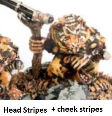 Head stripes 3.jpg