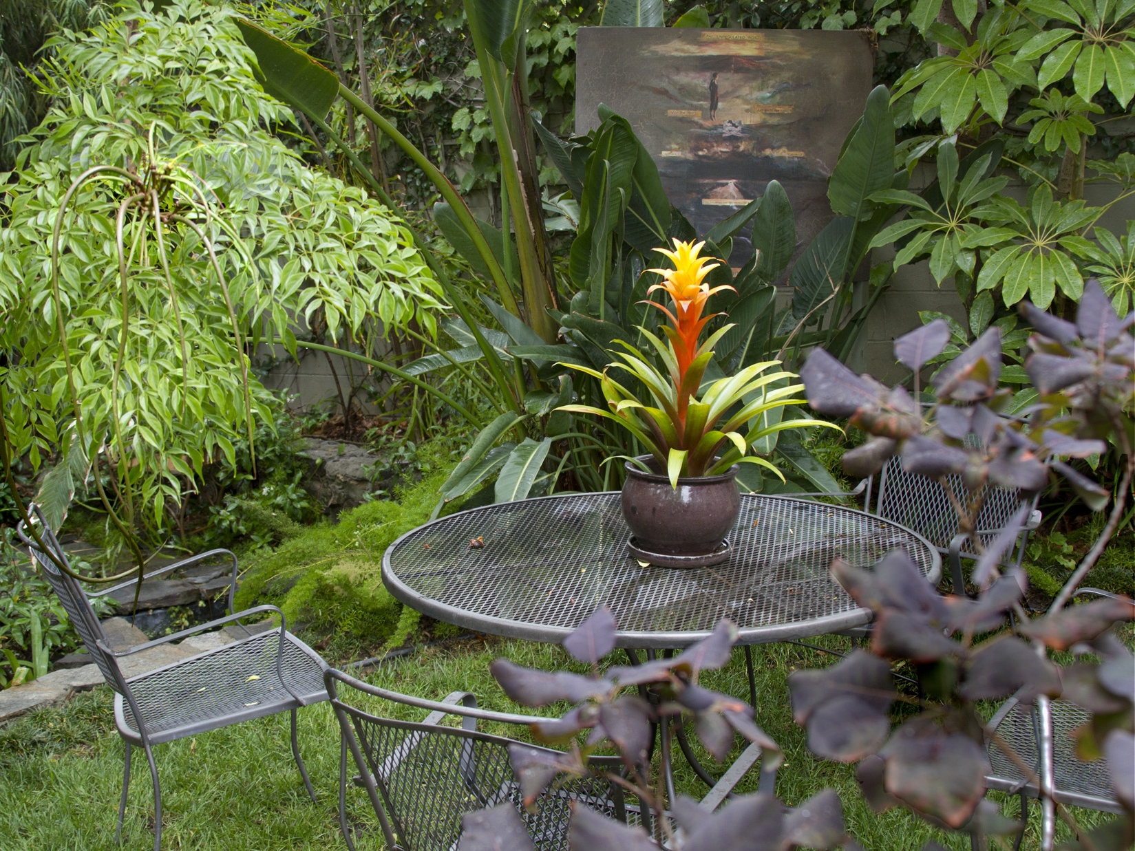 6Bromeliad Table.Ketti.Kupper.jpg