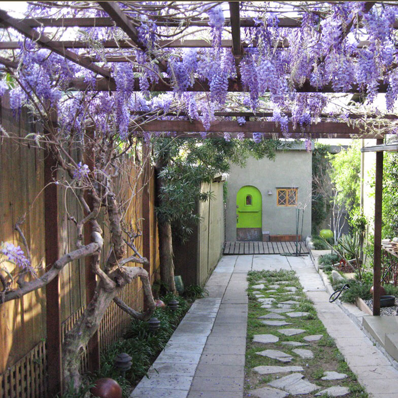 Wisteria arbor.jpg