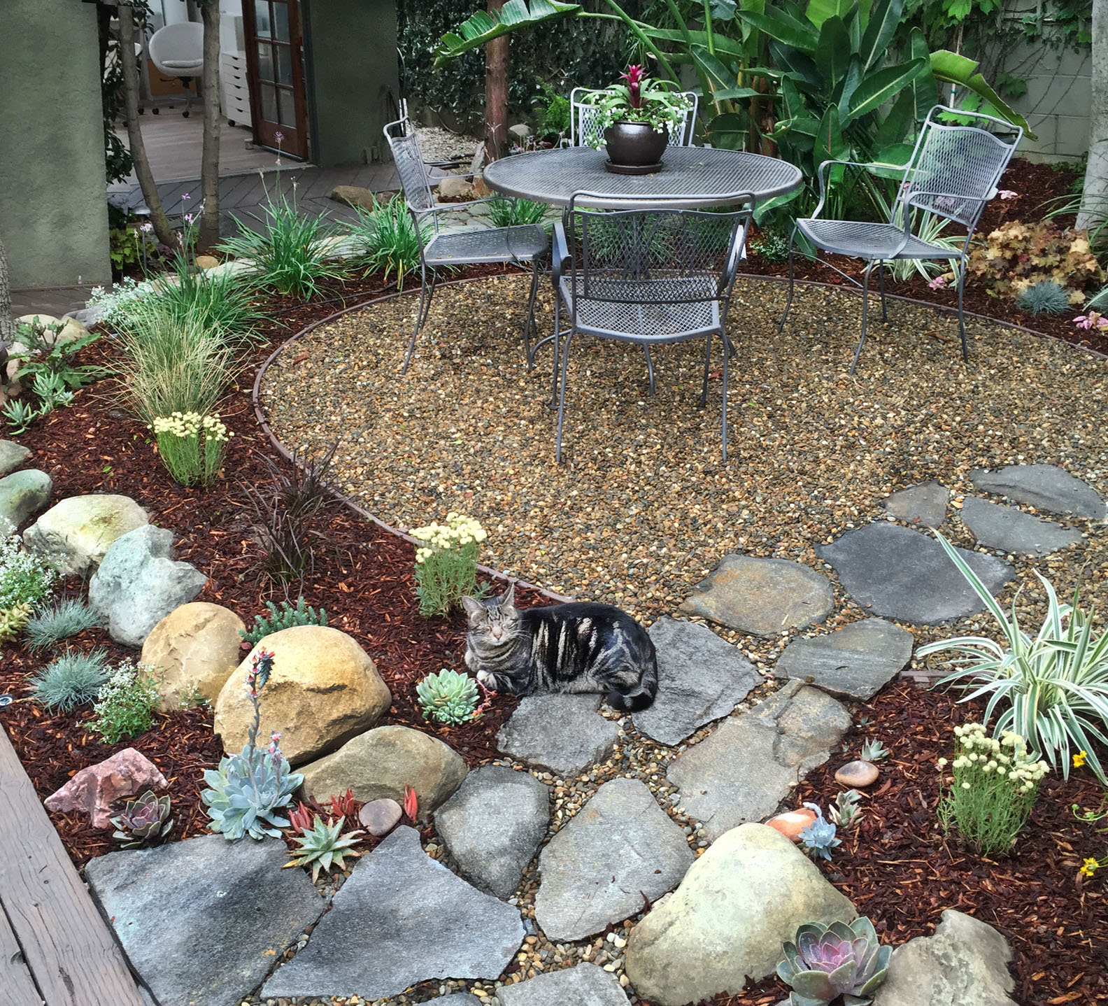 Garden cat.s.jpg