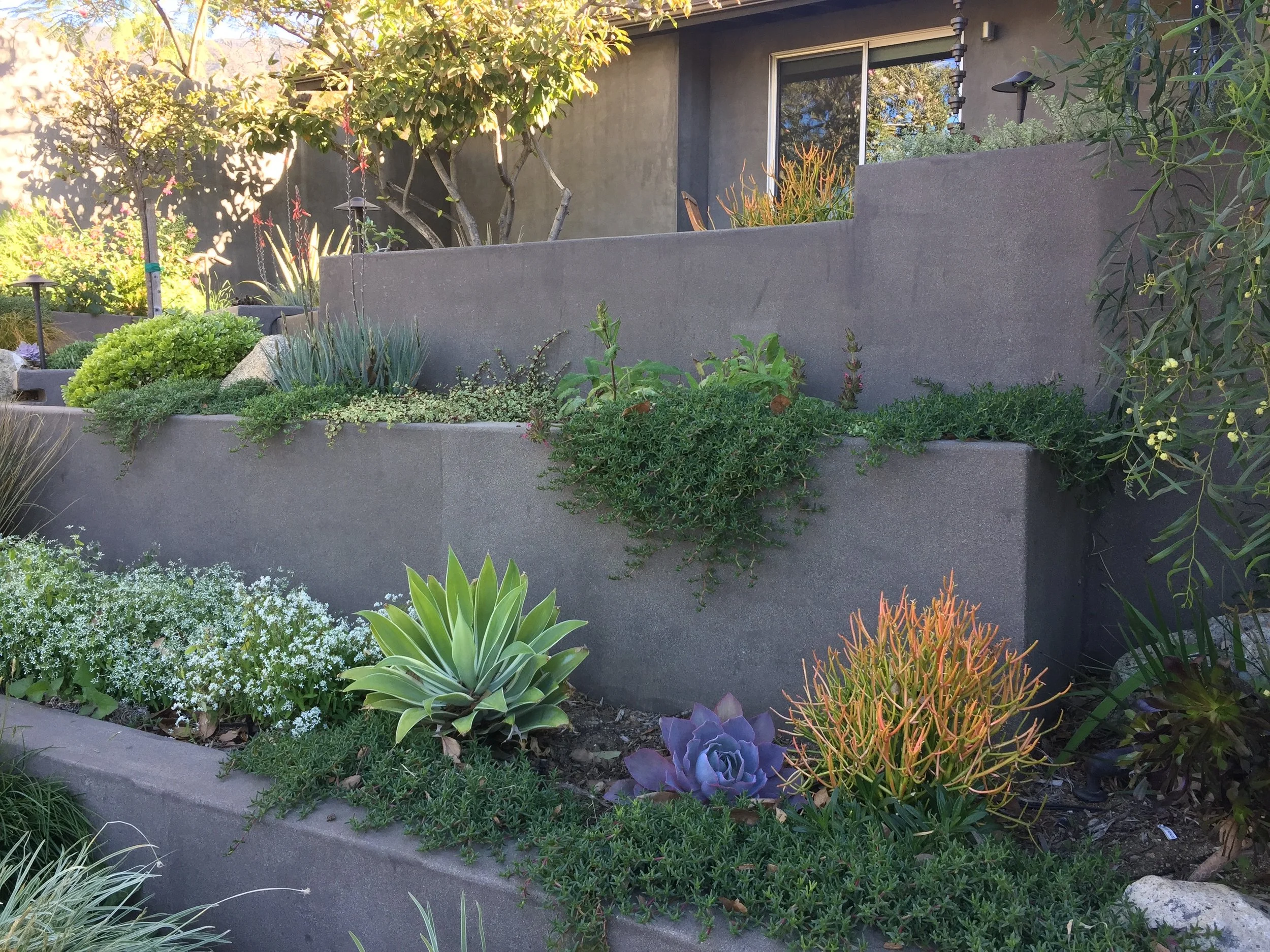 Retaining Walls_Ketti Kupper_1243.jpg