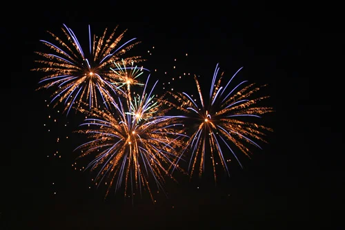 Meet & Greet BBQ under Fireworks