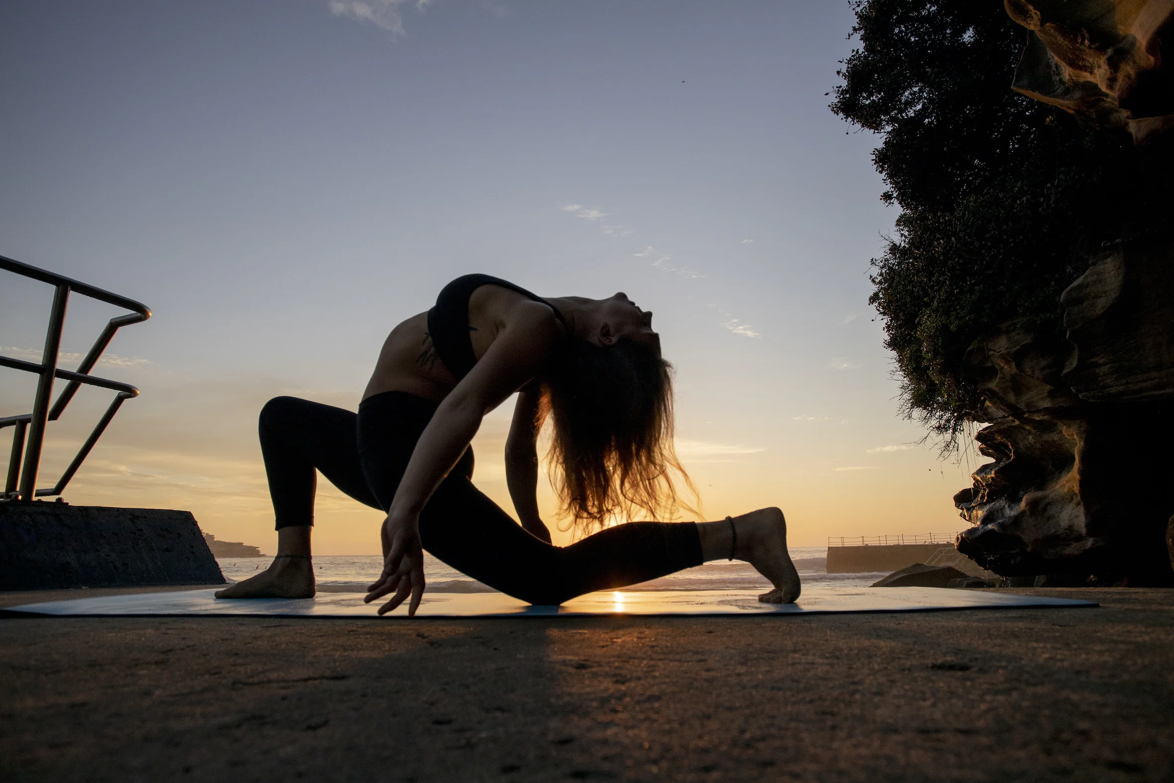 BodyMindLife, 2019