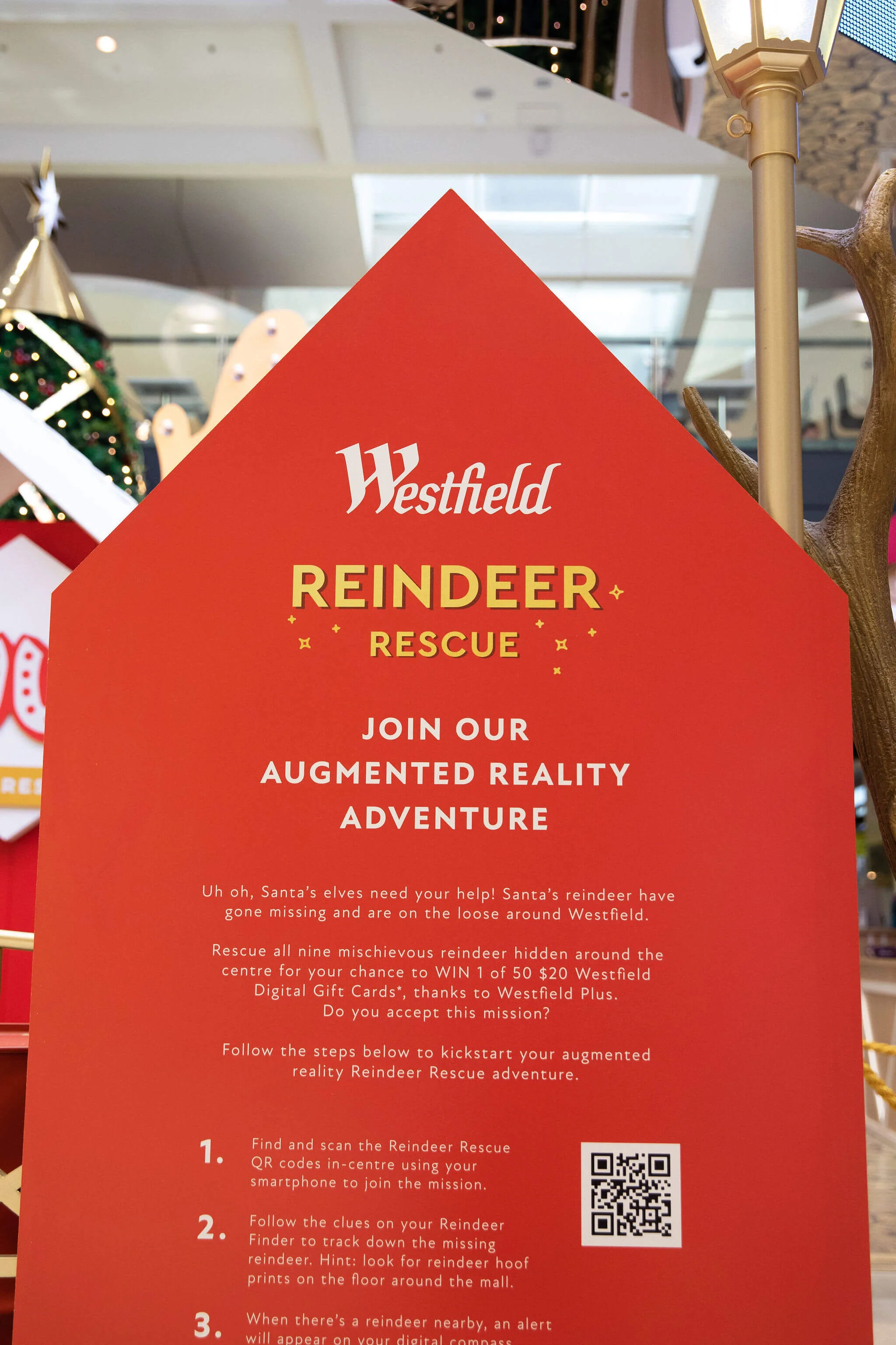 WESTFIELD MARION REINDEER REST STOP — HYGGE STUDIO