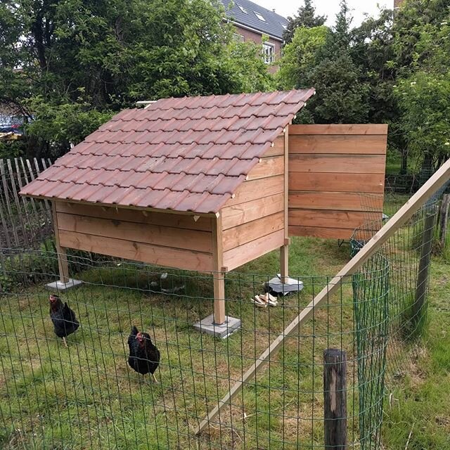 Give your chickens a nice tiled roof today!
They deserve it.

Too much?

#overkill #chickencoop
