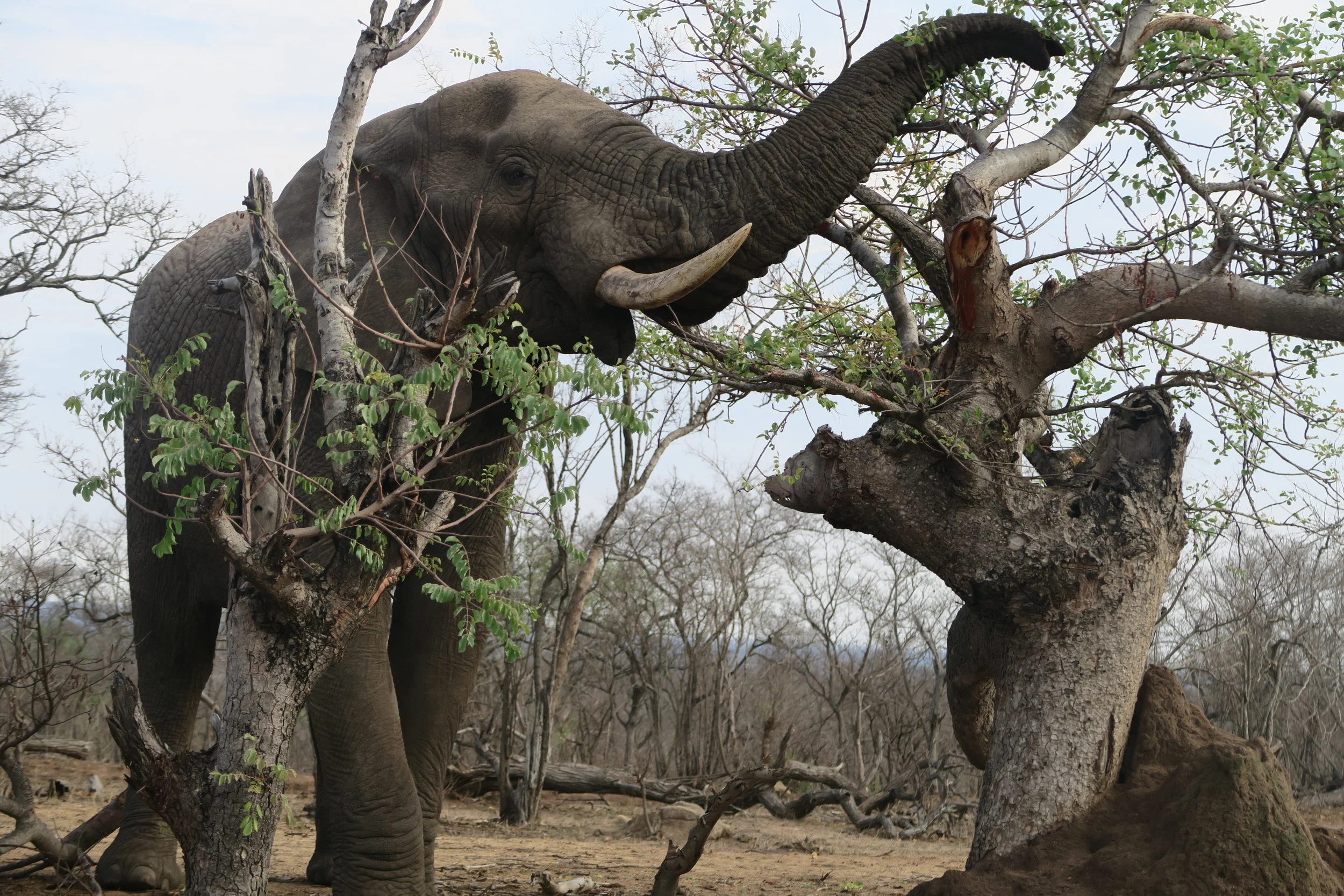 Moving ‘home’ – from honeymoon period to reality