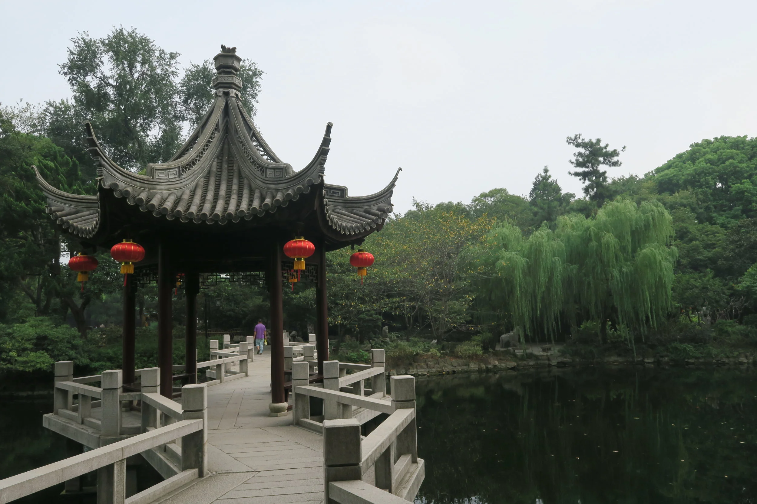 Seeing Shanghai...from a different point of view