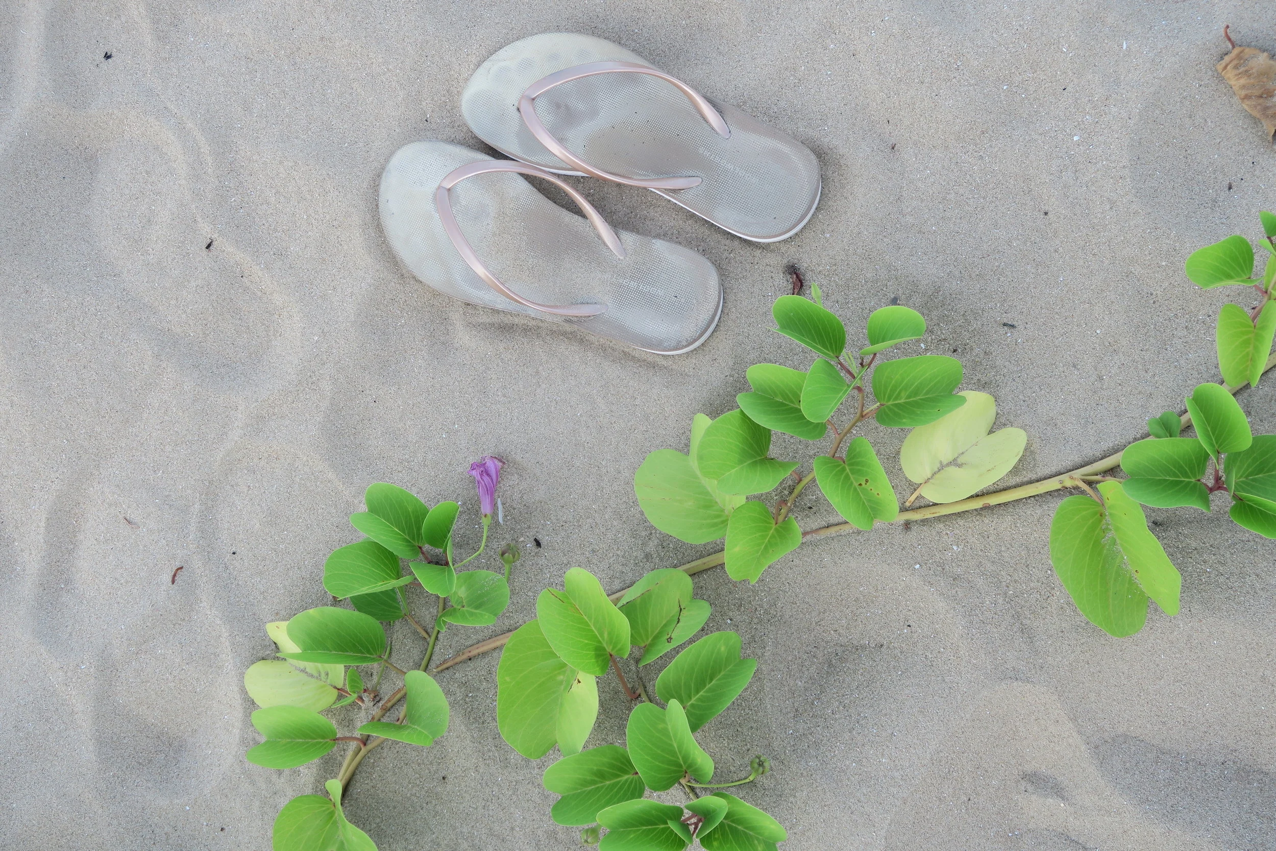 The serendipity of travel