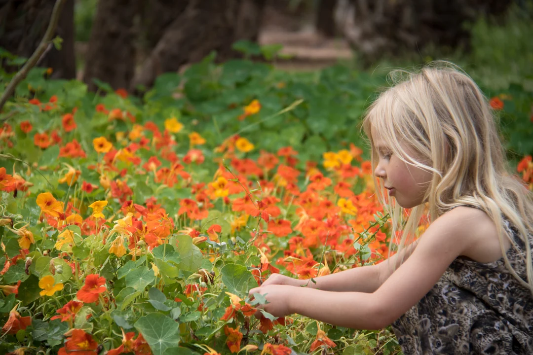Flowers as a snack here...