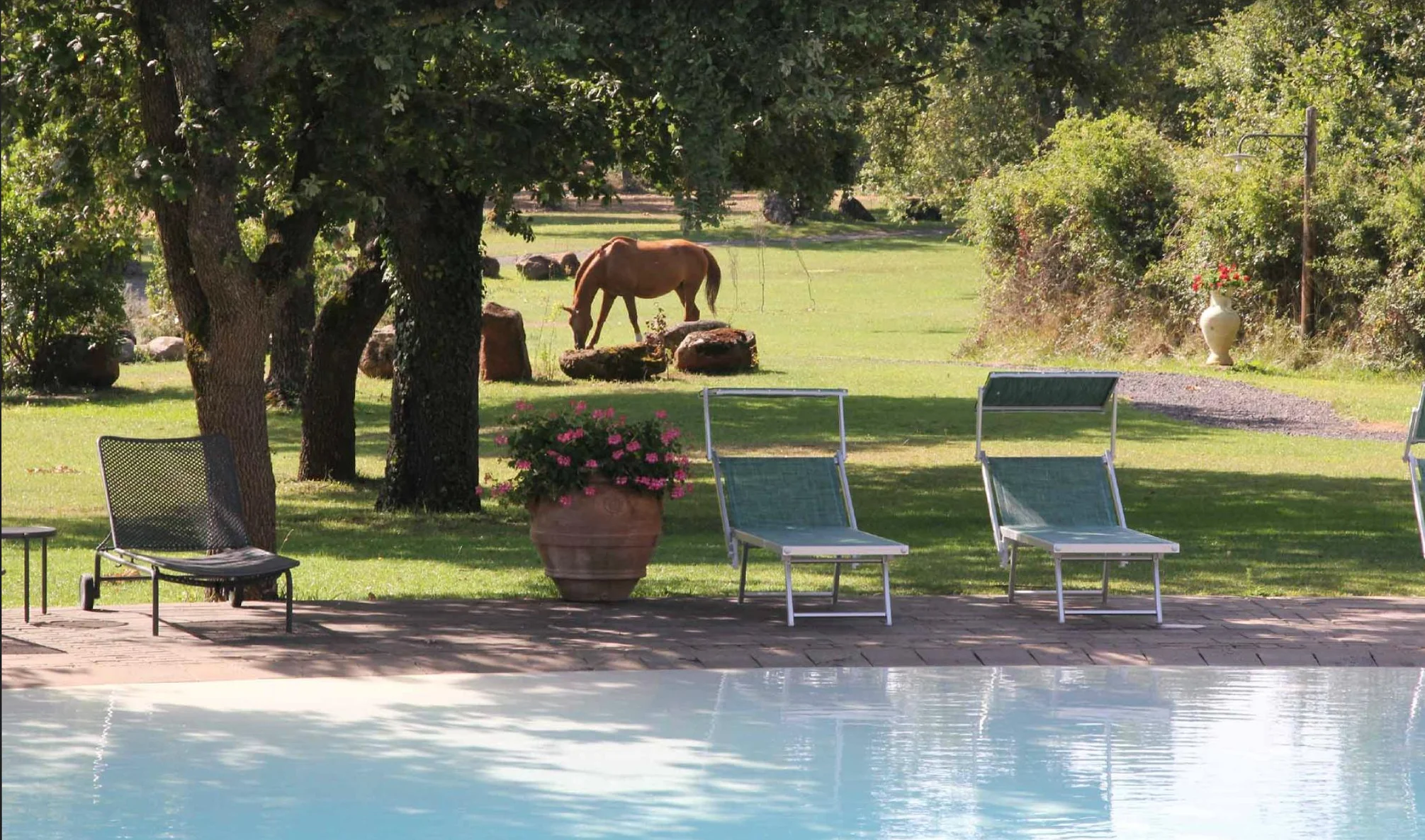 Pool at Mandra Edera