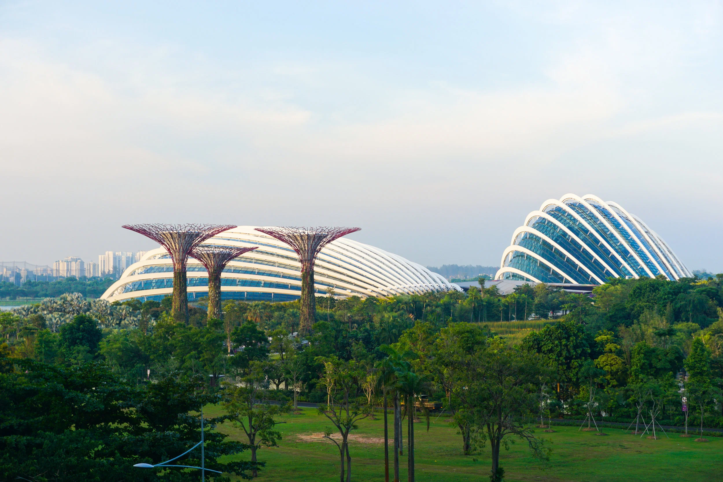 singapore-1018868 (2).JPG