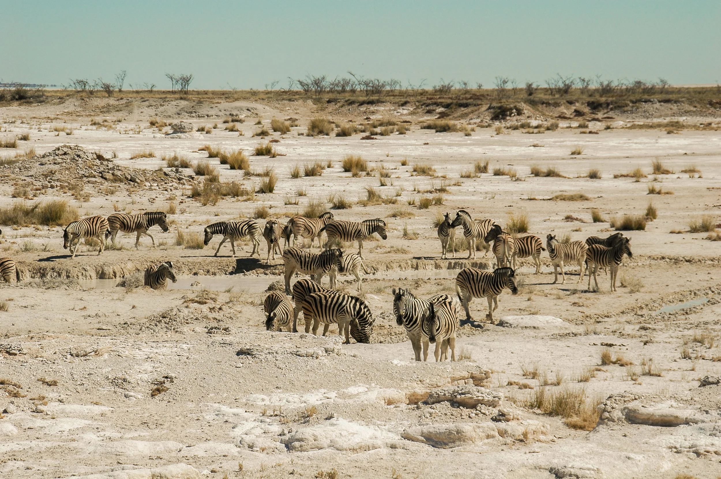 Palmwag Lodge, Namibia