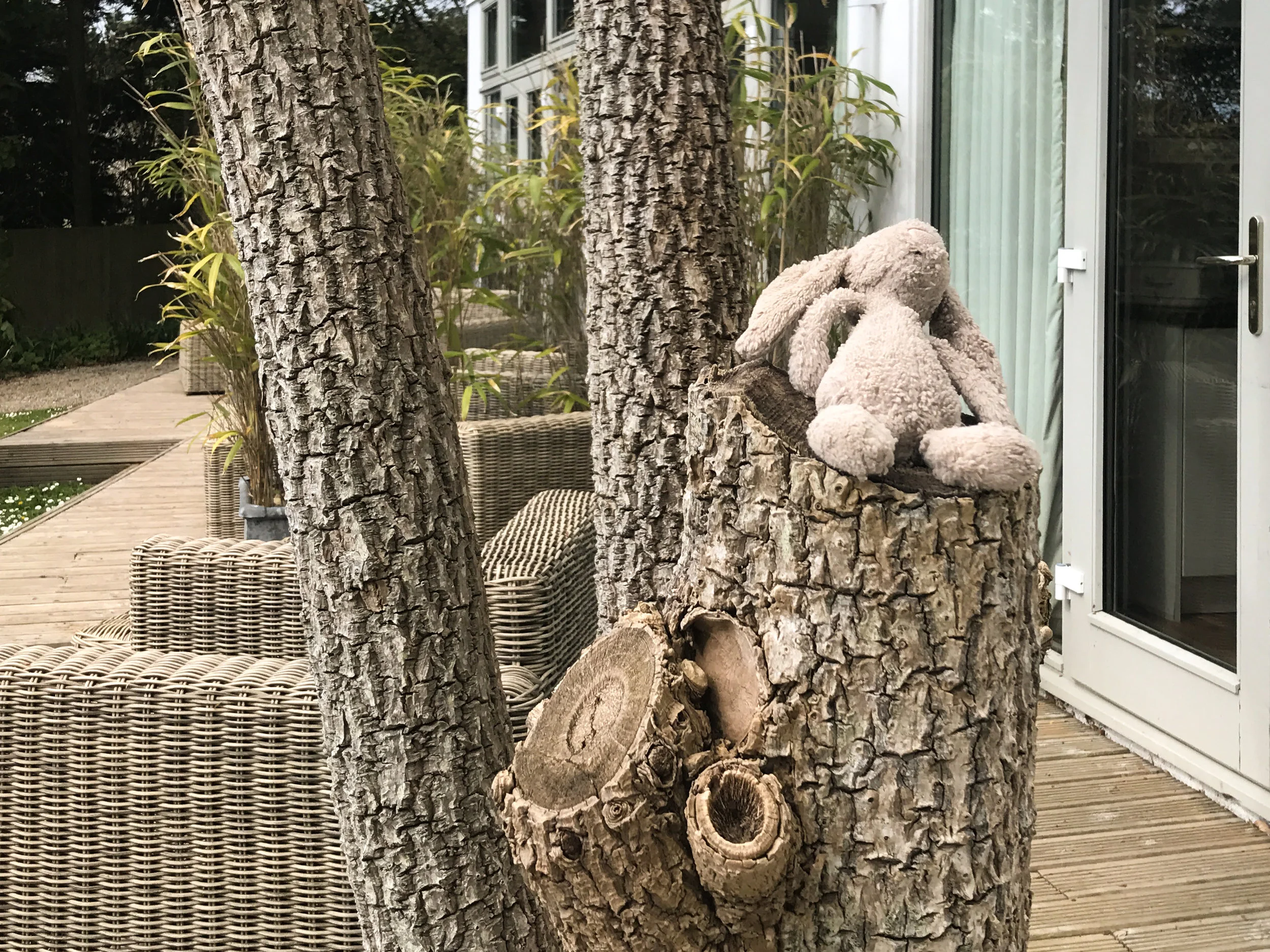 2017-04-25 10.31.41.JPG