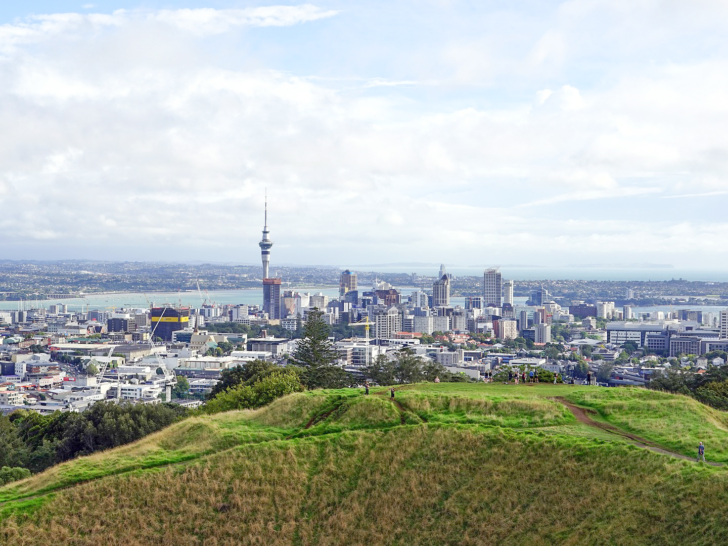 auckland-2160547_1920.jpg