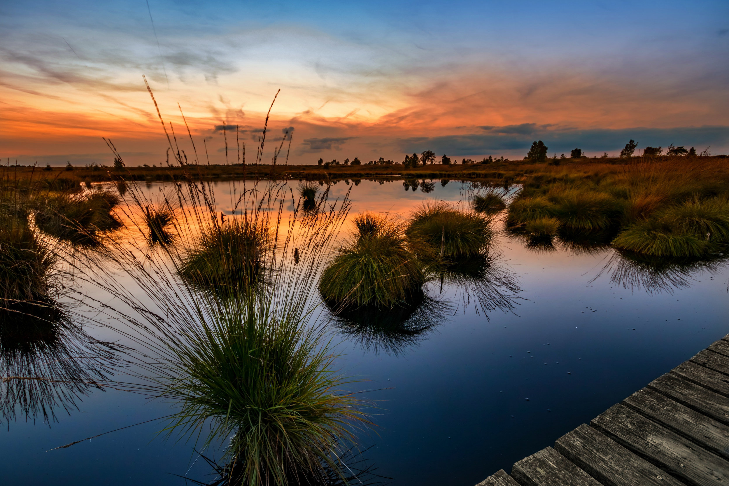 Foto Wende Dutch Beachsocks-7.jpg