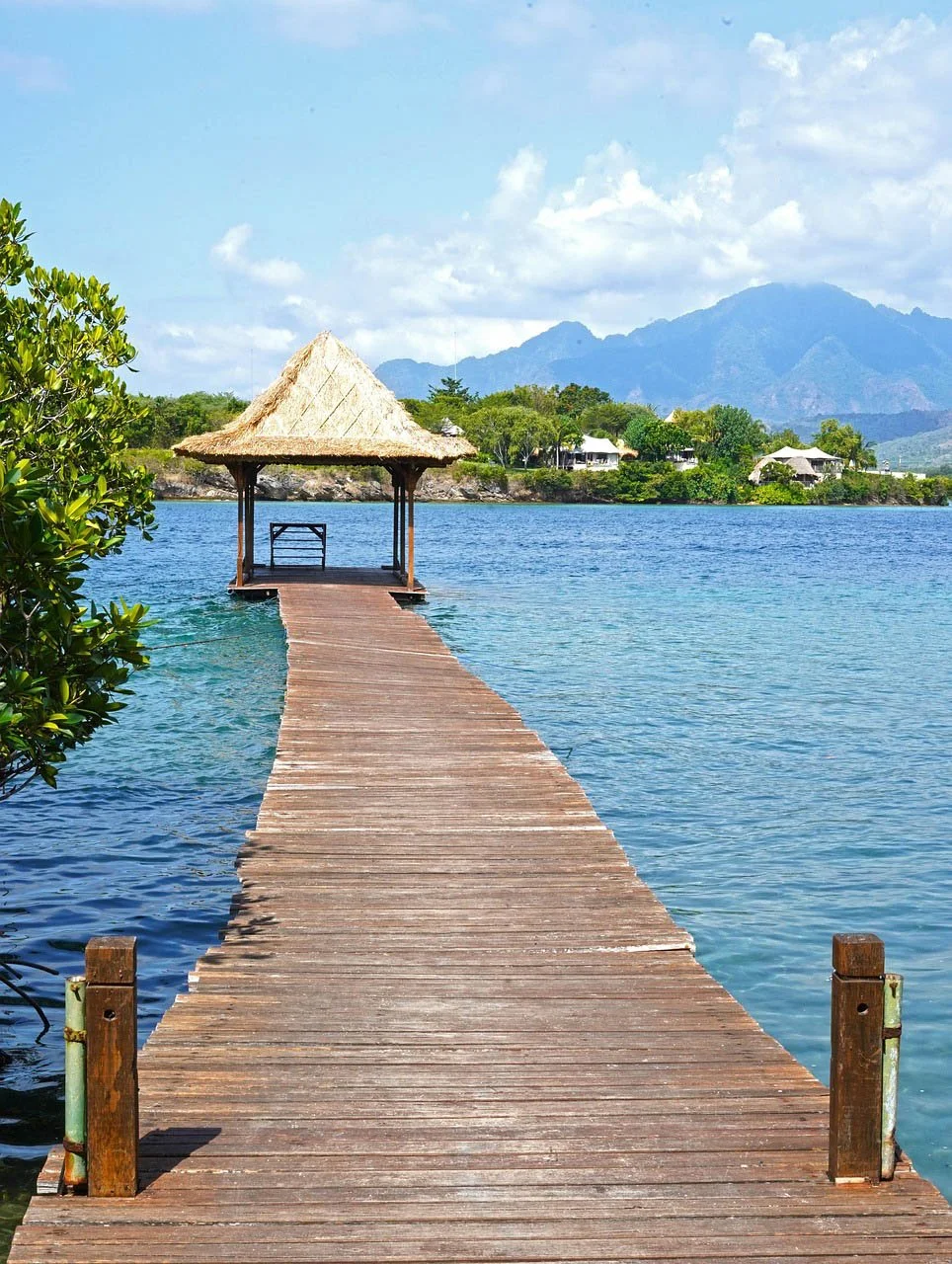 PIXABAY  (2 van 5).jpg