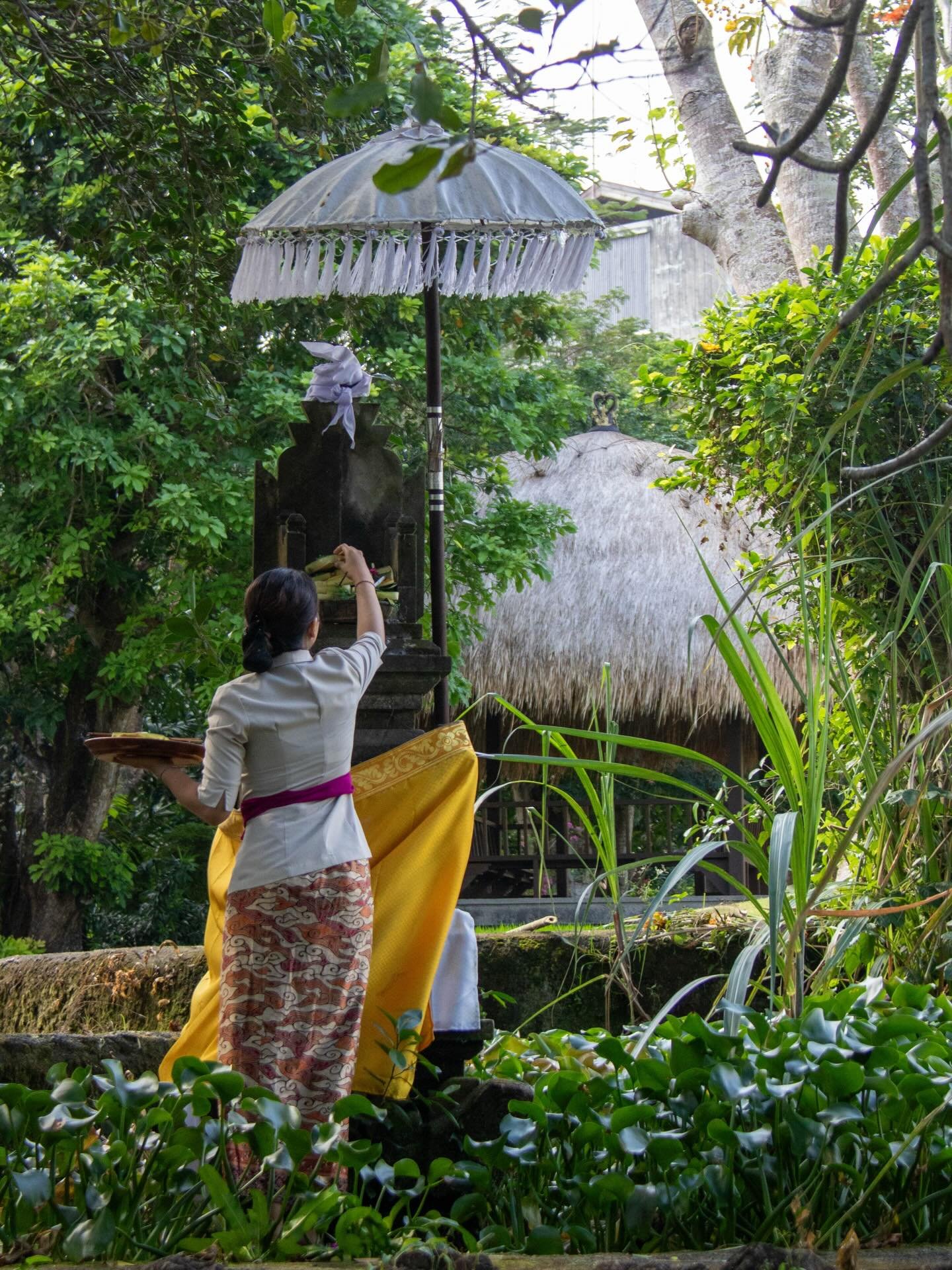 Tribute to the gods. At the Ayana resort Bali. See our site for the review. 

#FamilyTravel #LuxuryFamilyTravel #TravelWithKids #ExploreMore #FamilyVacation #culturaladventures #luxurylifestyle #luxurytravel #luxuryresort #luxuryhotels #indonesia #in