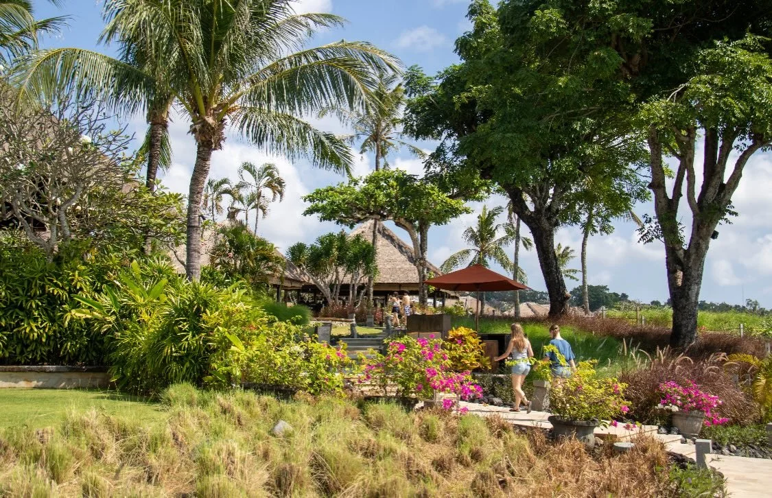 Pathways framed by palm trees, vivid blooms, and the sound of the ocean in the distance. At AYANA, even a simple walk turns into a moment of connection and wonder.

See our site for the review.

#FamilyTravel #LuxuryFamilyTravel #TravelWithKids #Expl