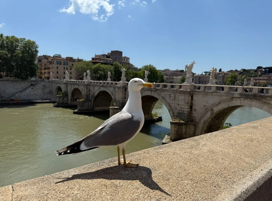 Rome, where history meets everyday life: sunlit bridges over the Tiber, quiet moments between iconic landmarks, and space to slow down even with a family in tow. This is the city to wander, taste, and return to. 

See our site for more.

#luxurytrave