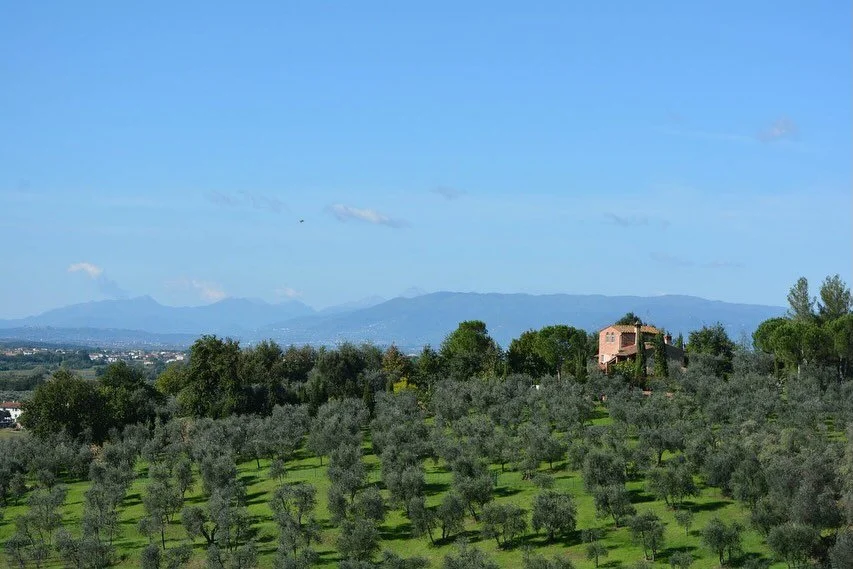 Throwback travel 2011. 

We stay for a week in the Botticelli apartment at Tenuta Torre Rossa Farm &amp; Apartments just outside Florence, and immediately feel at home. The apartment is warm, peaceful, and spacious &mdash; exactly what we need with o