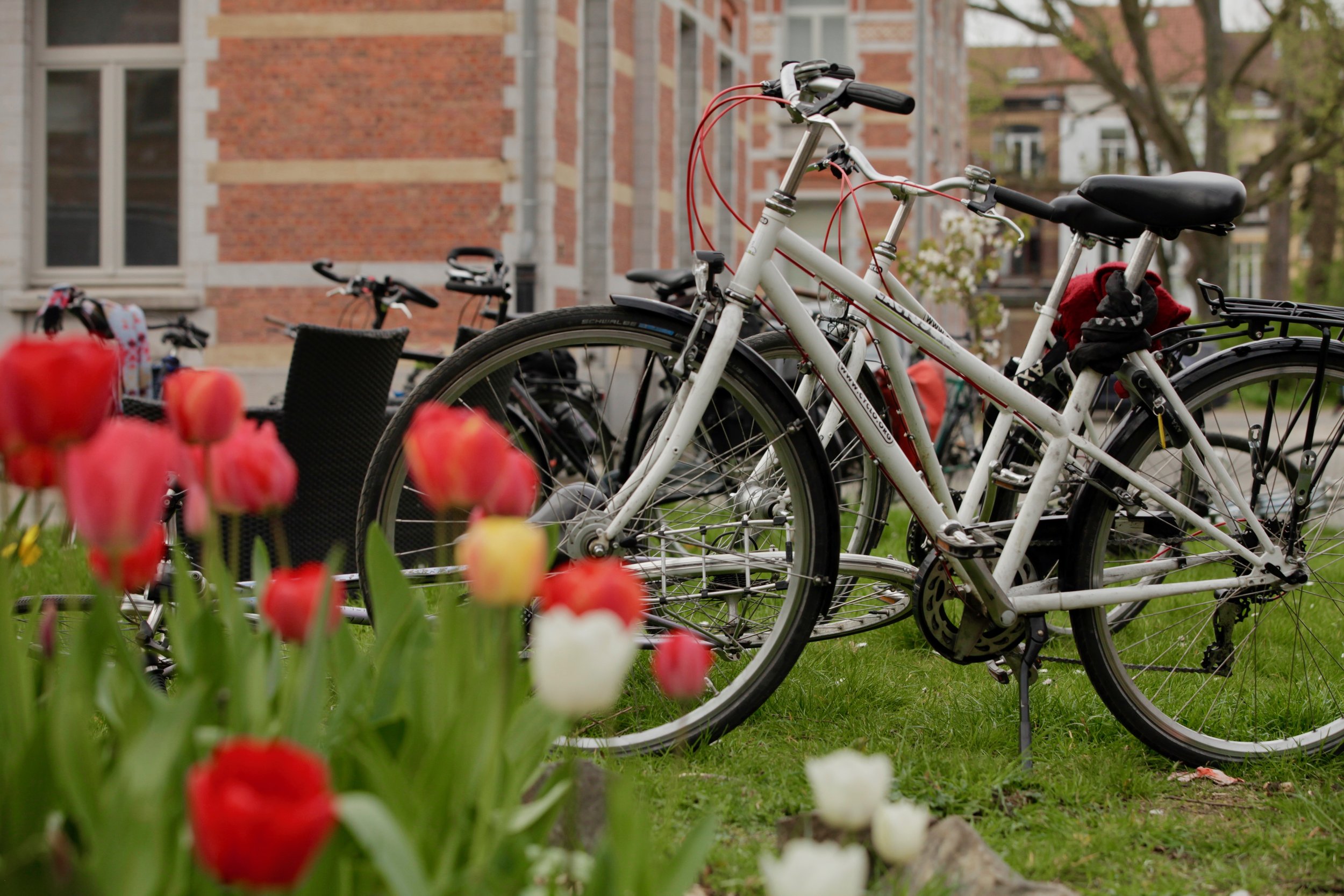 Fietsen huren in brussel