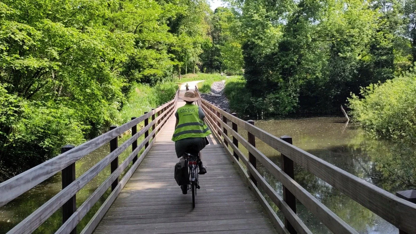 cycling through brussels green areas with a cactus rental bike