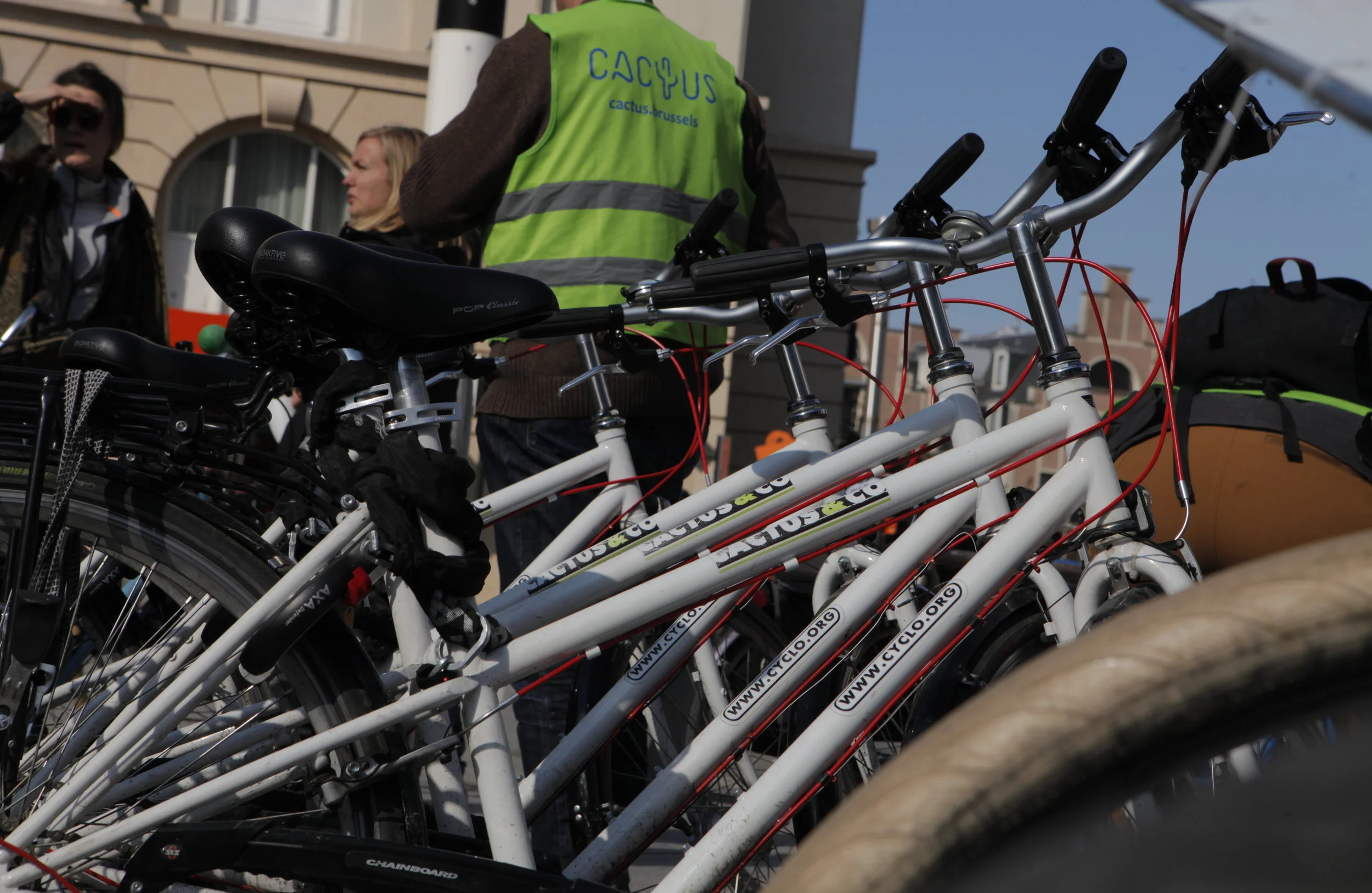 Call for new cactus-guides 2019