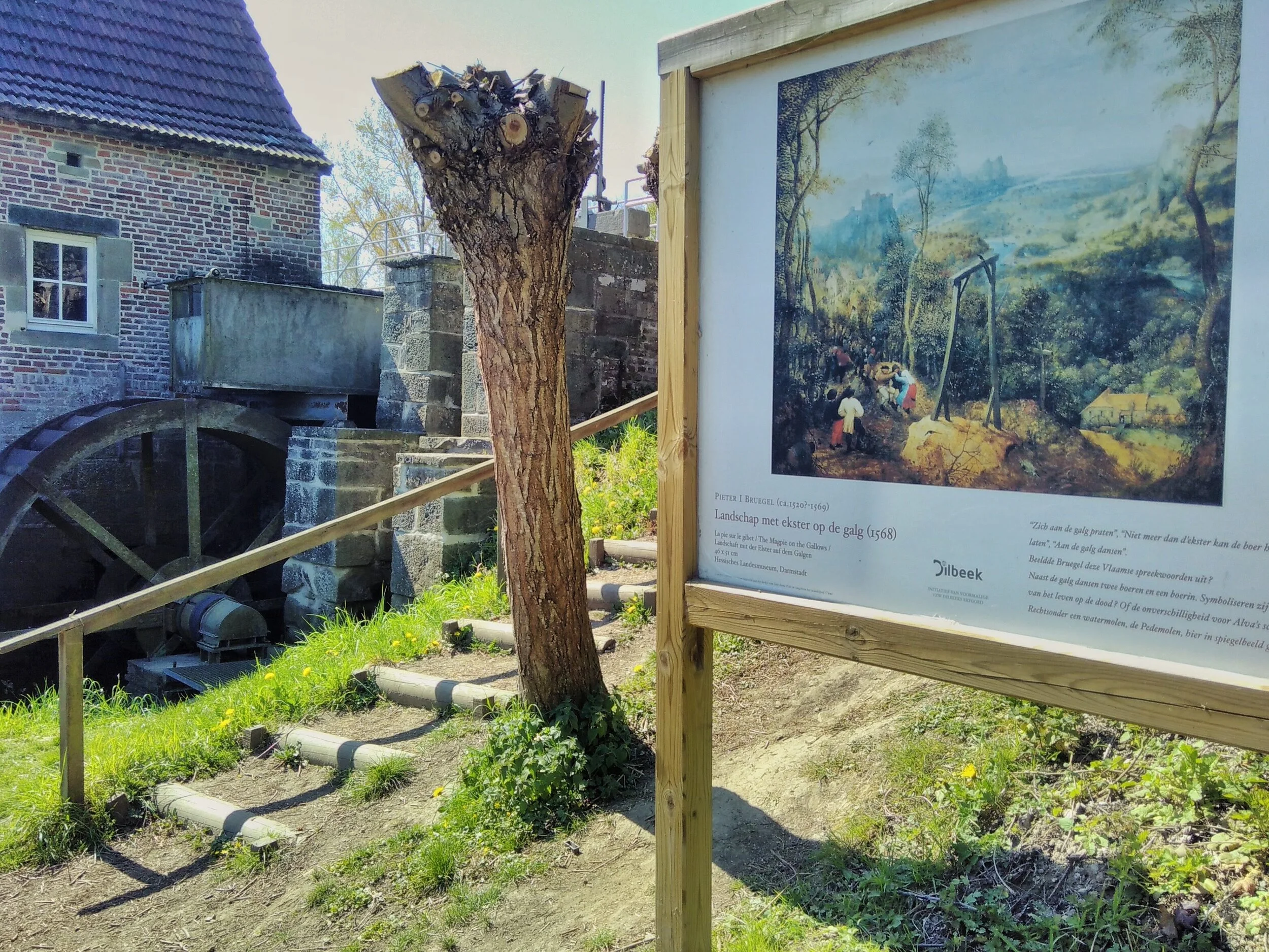 #2 Ride your bike: Bruegelroute 