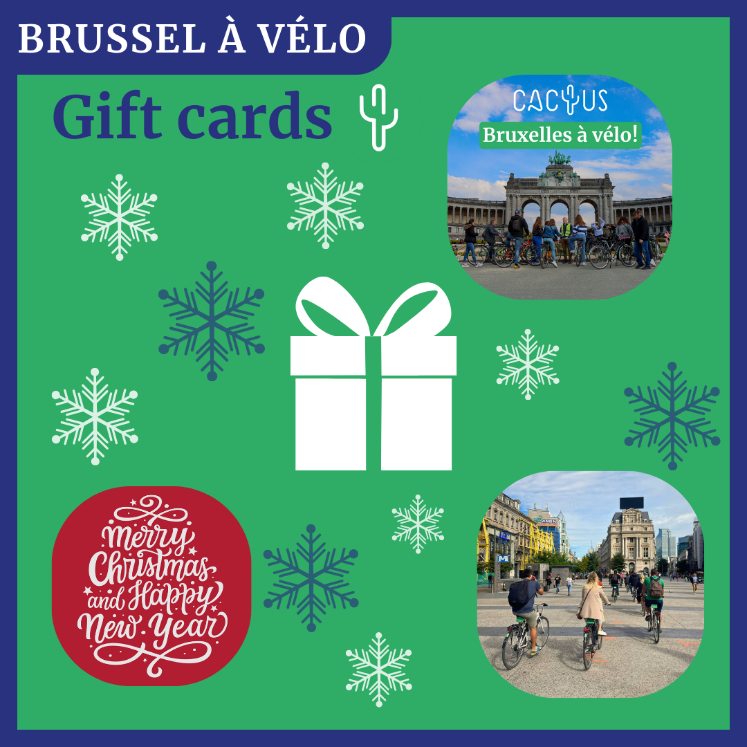 Gift a guided bike tour in Brussels