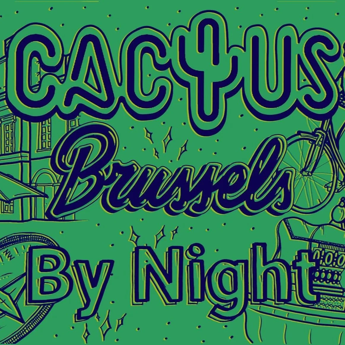 Brussels by night 2024