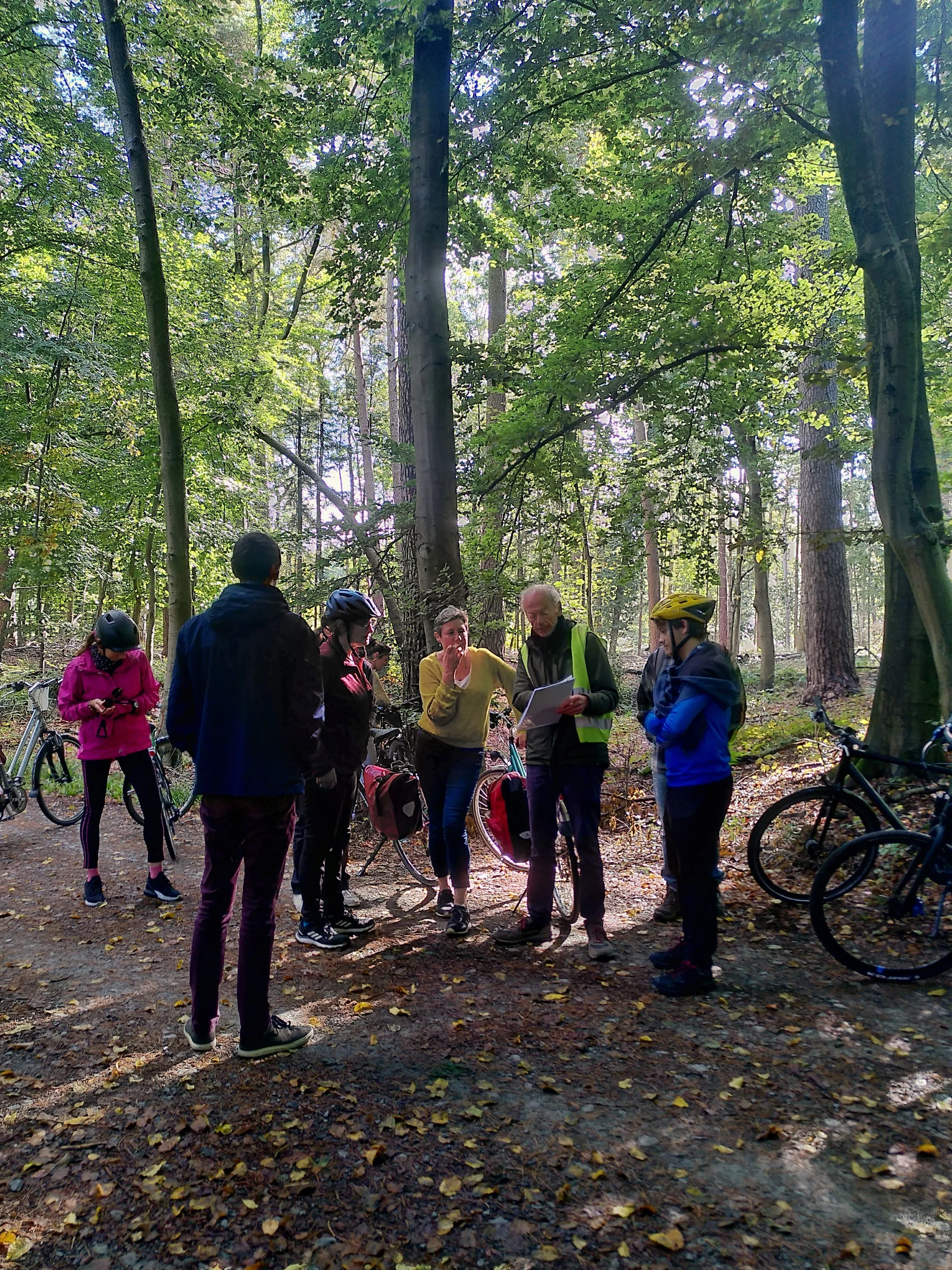 Herfsttour II: une balade à vélo dans la Forêt de Soignes