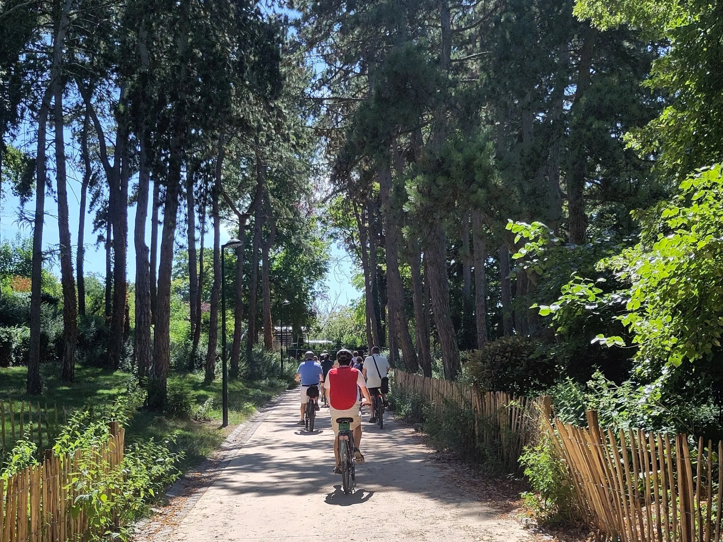 Vélos dans un espace vert