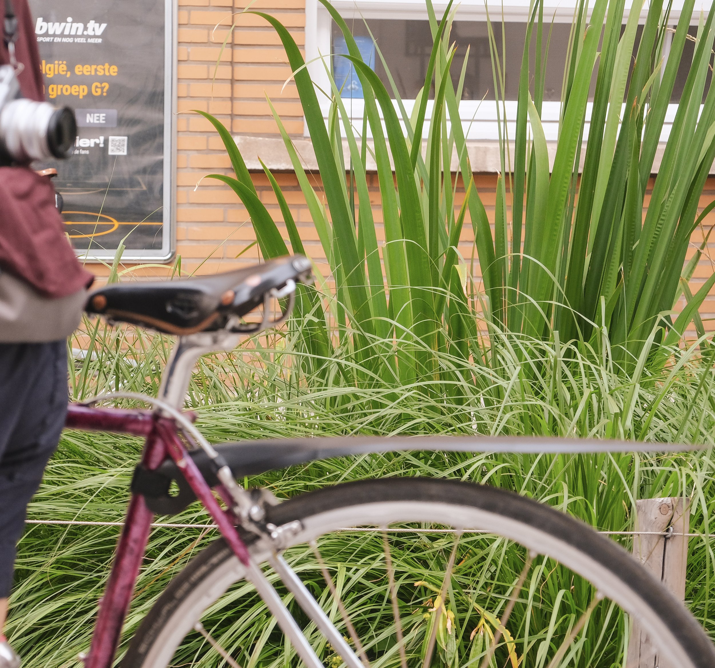 Explore Brussels by bike