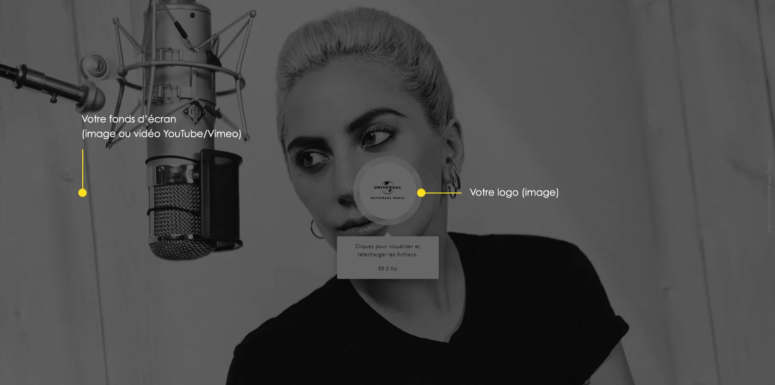 Lady_Gaga_Smash_2.jpg