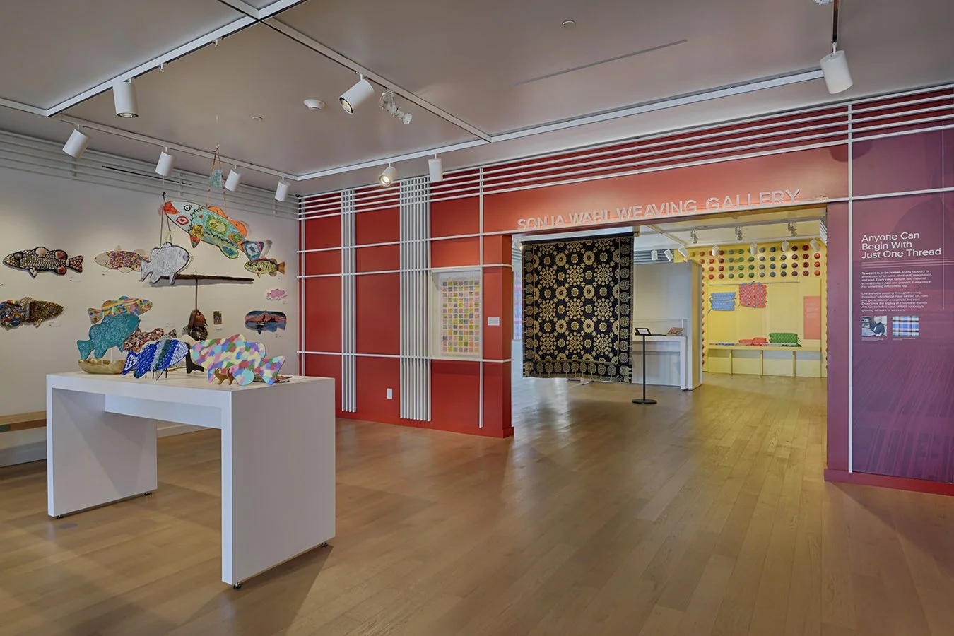 TIAC_MAIN GALLERY_01.jpg