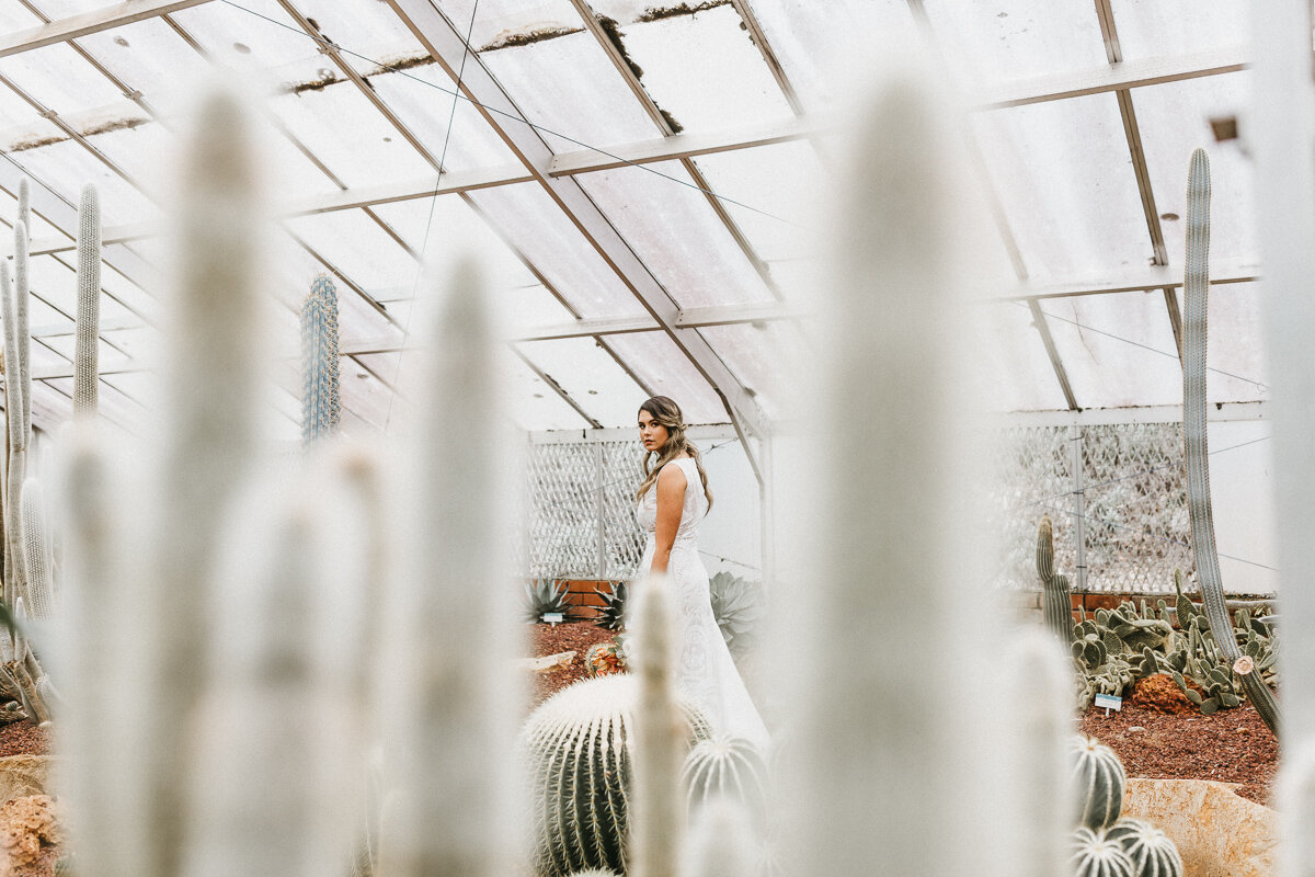 Sydney-Cactus-Wedding-Bridal-Photoshoot0004.jpg