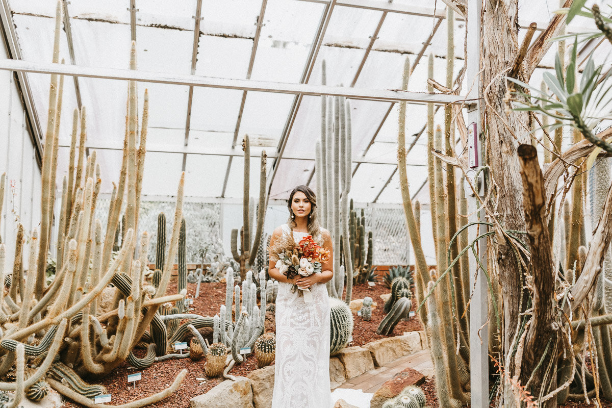 Sydney-Cactus-Wedding-Bridal-Photoshoot0007.jpg
