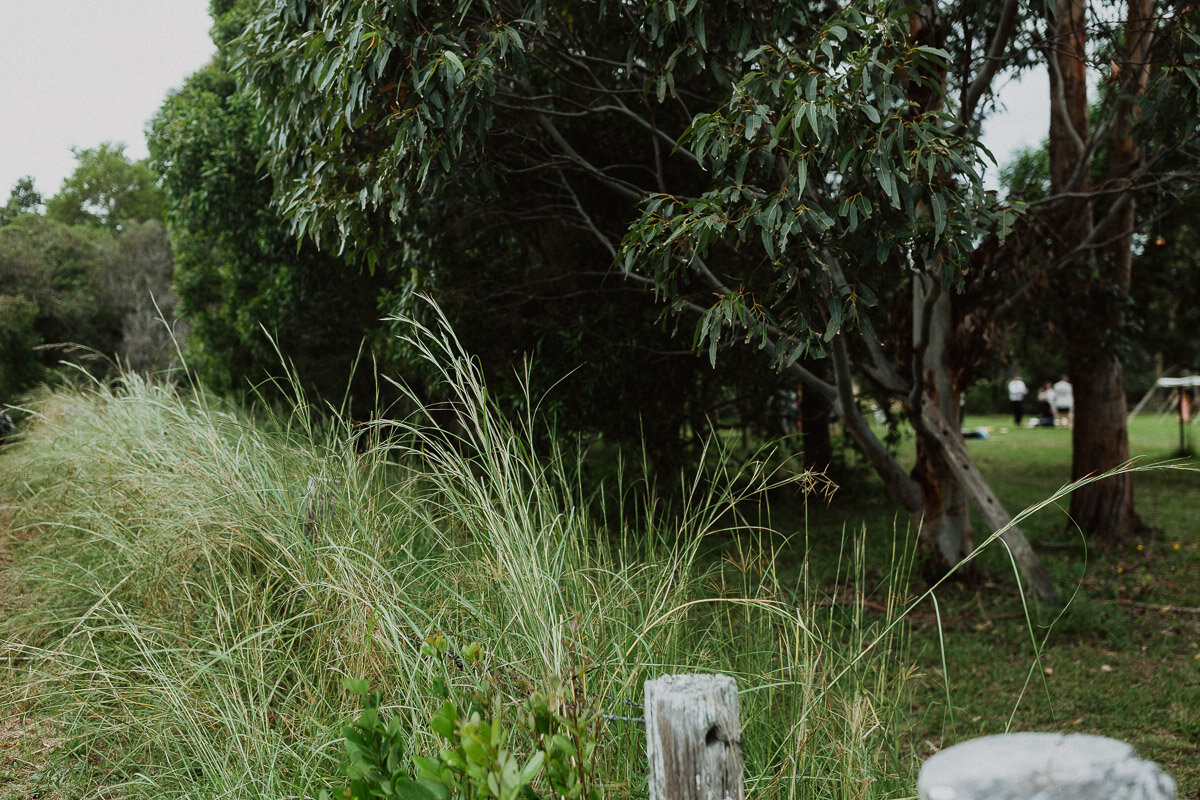 Wedding-on-Beach-Forster-Wazza-Studio-0059.jpg