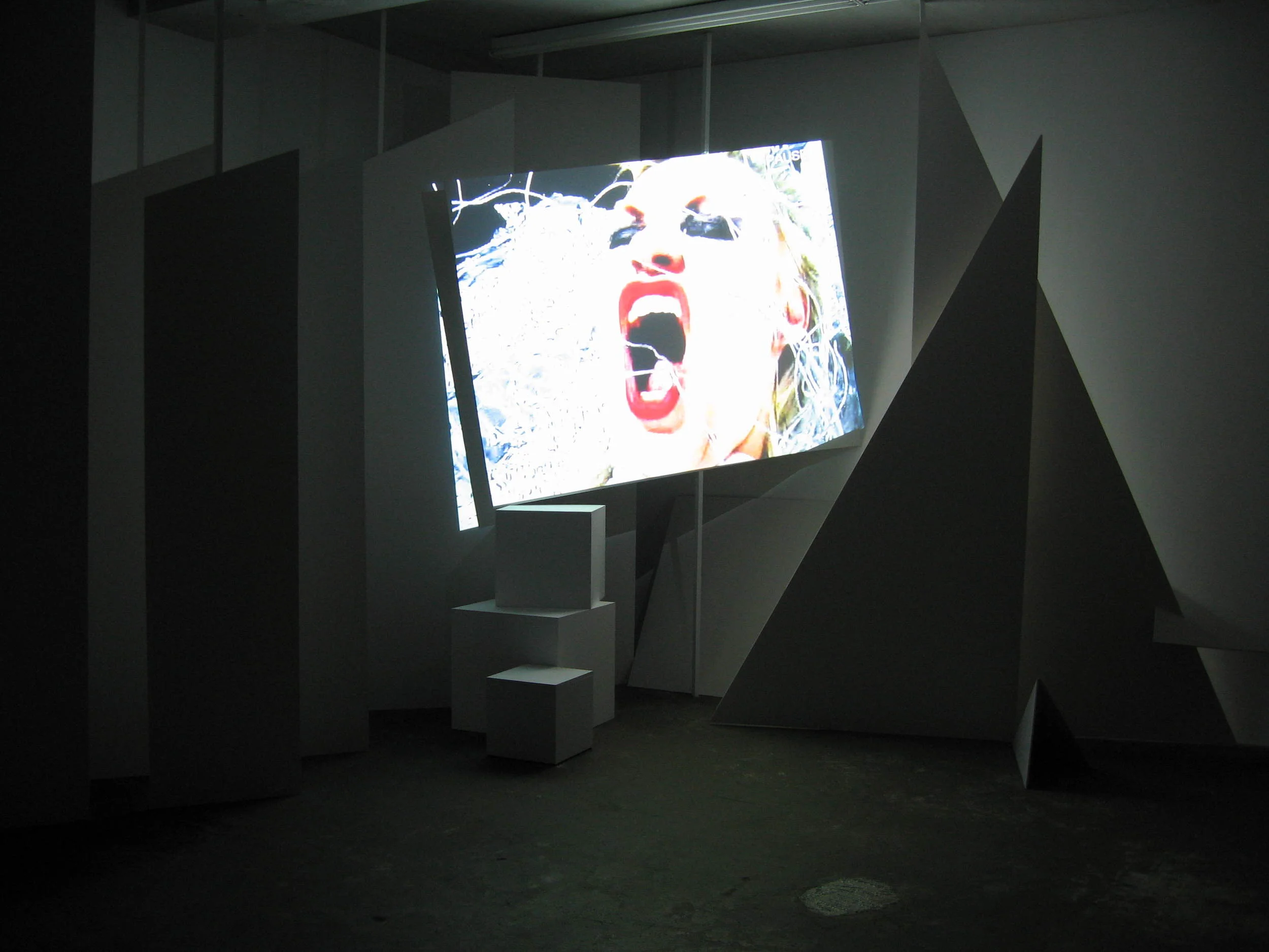 Installation with video, Jonathan Viner, London 2006