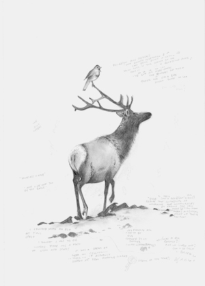 Deer (Imaginature Album Project)