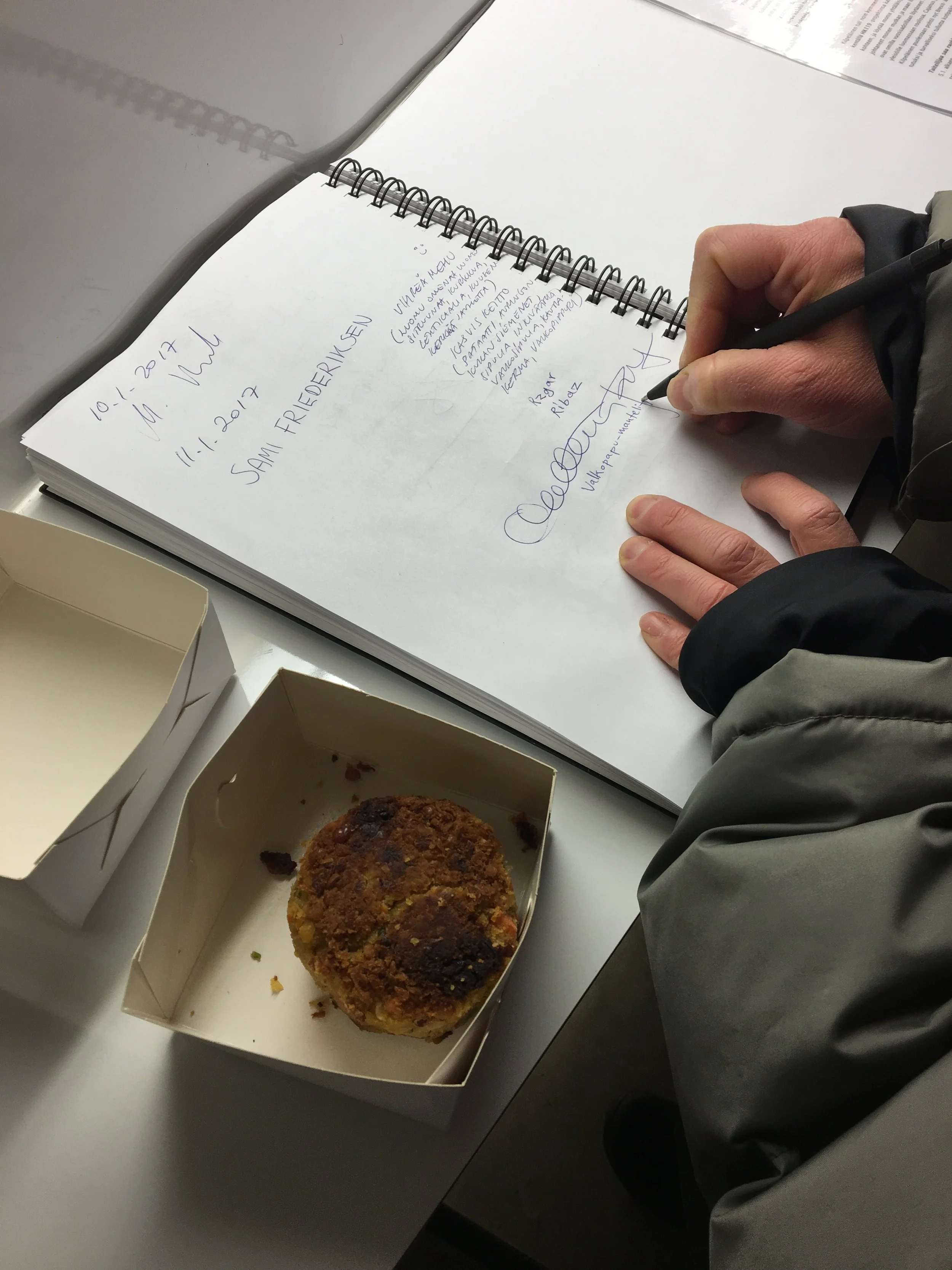 Feed The Artist, Hippolyte Gallery 2017