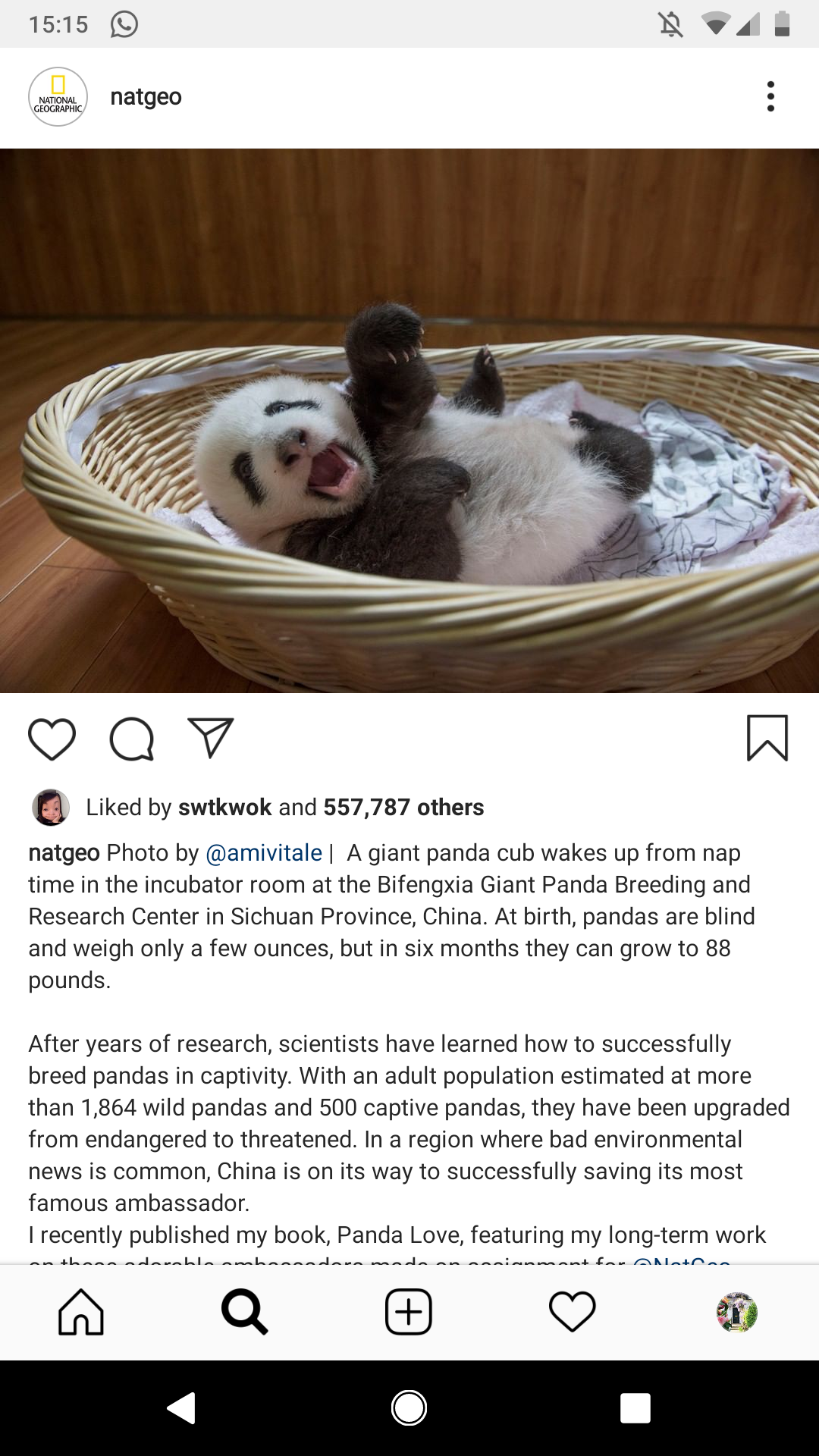 Find out how to write Instagram captions that sell 2019.png