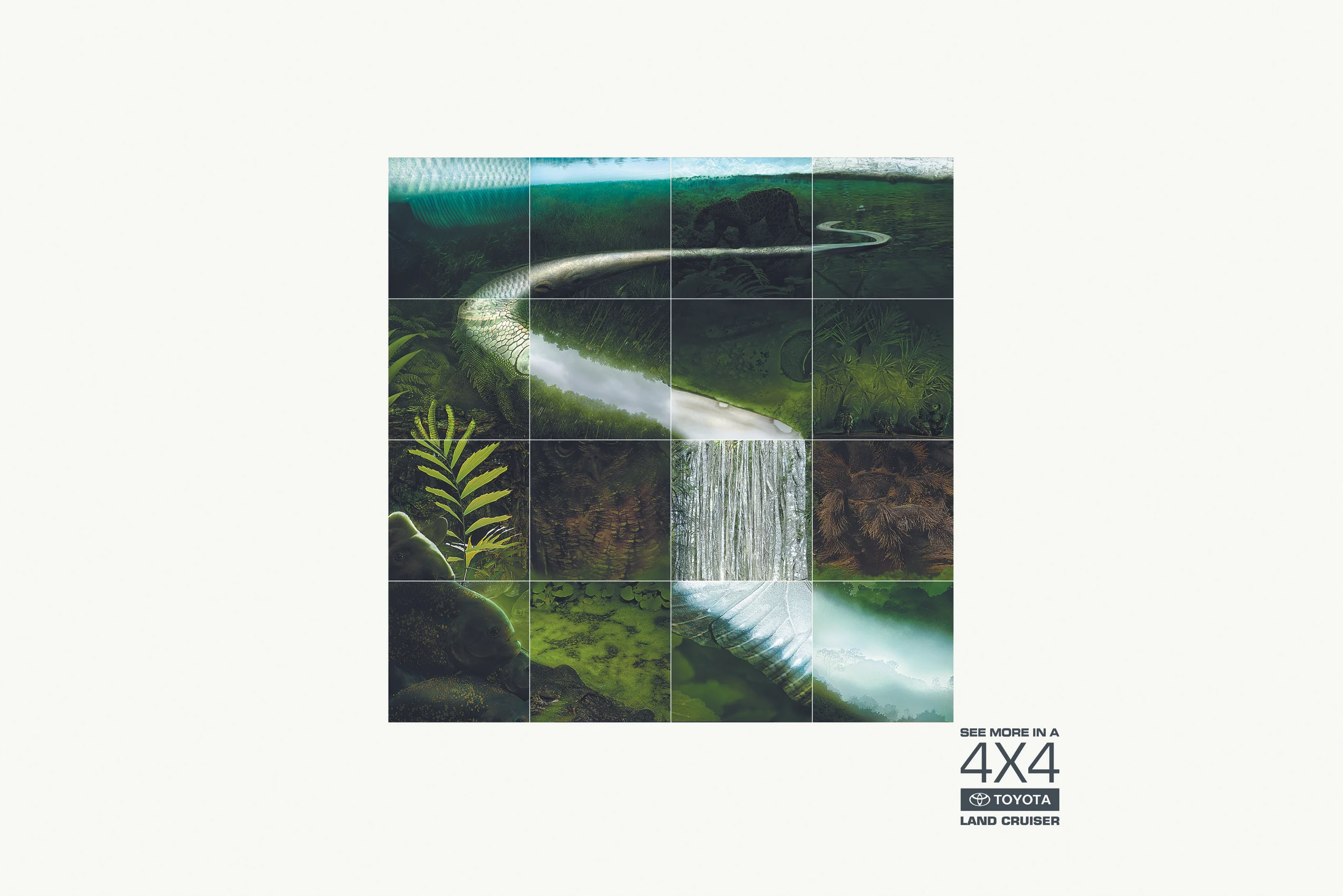 47-Portfolio-4X4 FOREST-TOYOTA CAMPAIG.jpg